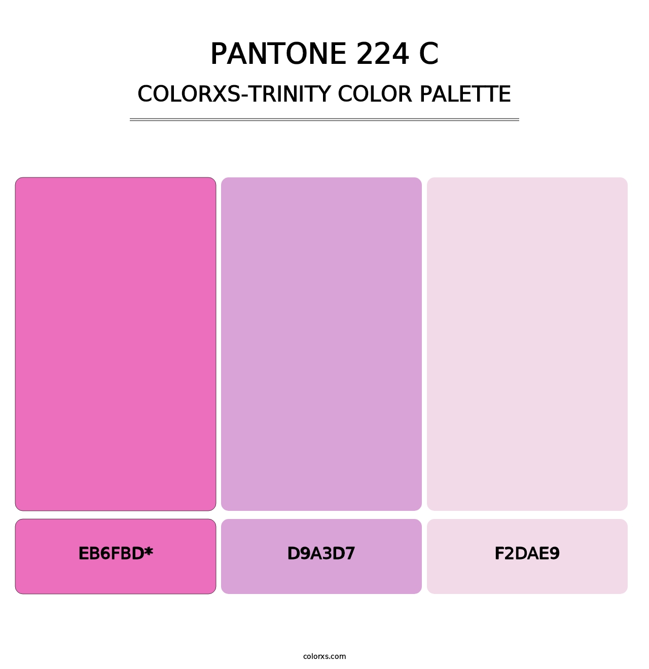 PANTONE 224 C - Colorxs Trinity Palette