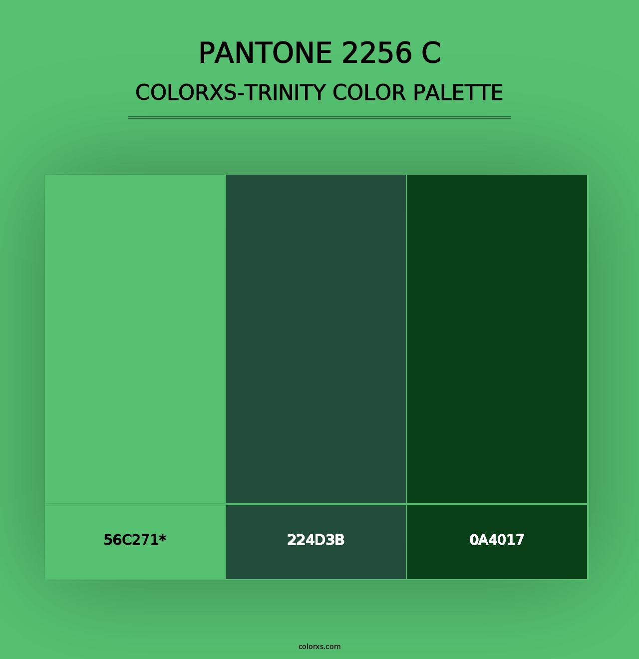 PANTONE 2256 C - Colorxs Trinity Palette