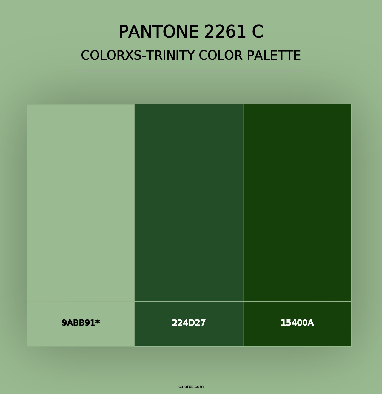 PANTONE 2261 C - Colorxs Trinity Palette