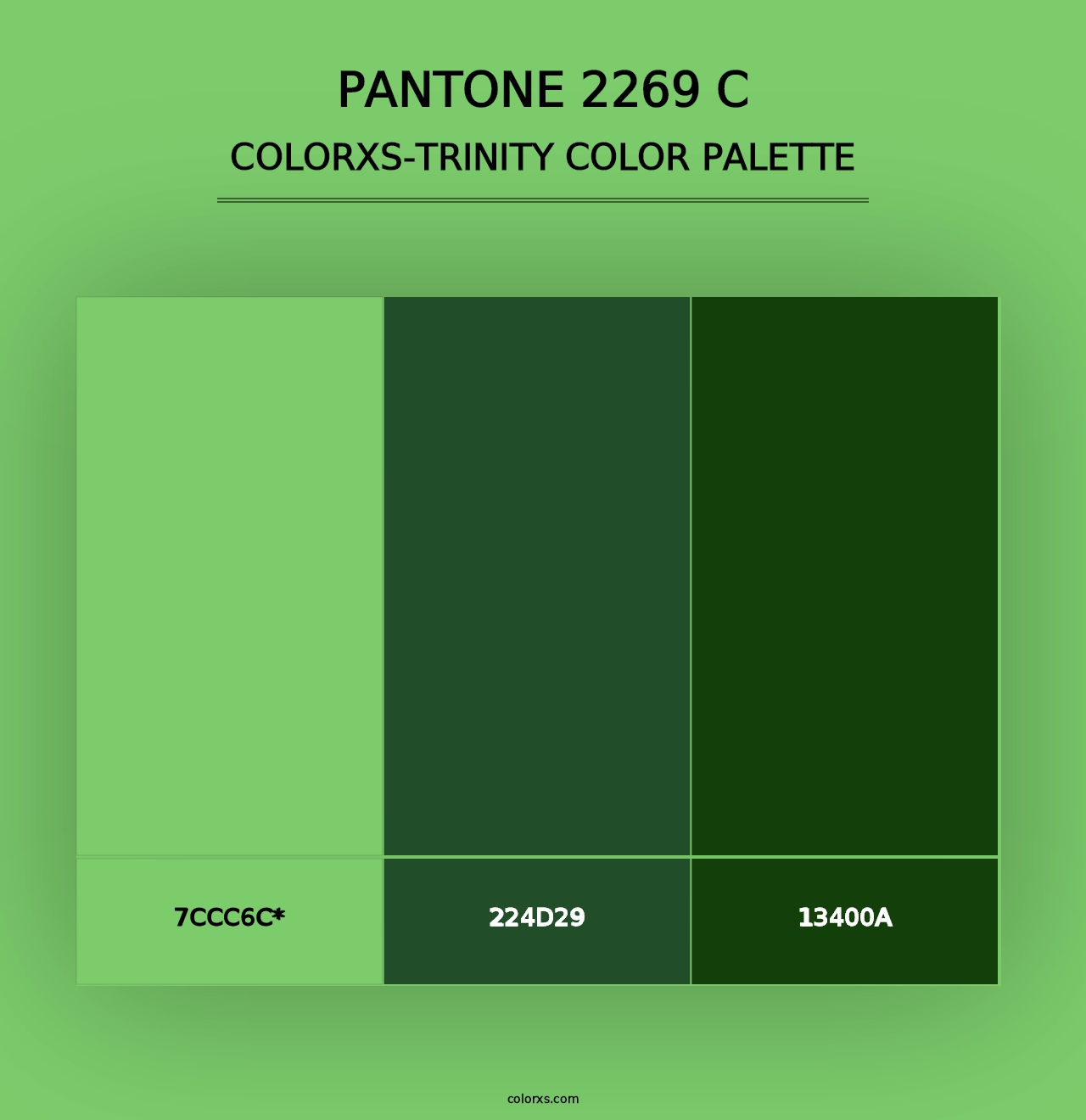 PANTONE 2269 C - Colorxs Trinity Palette