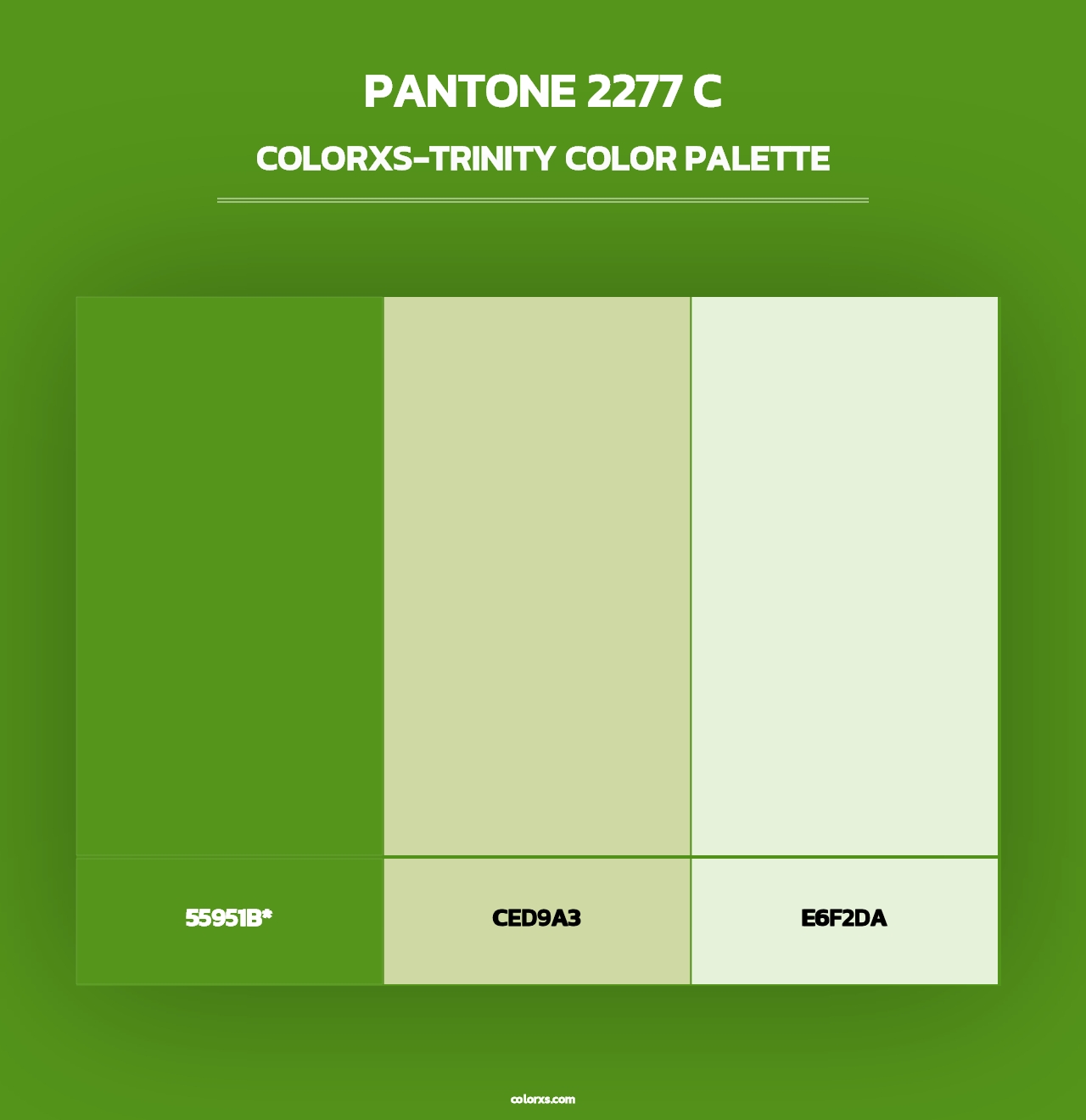 PANTONE 2277 C - Colorxs Trinity Palette