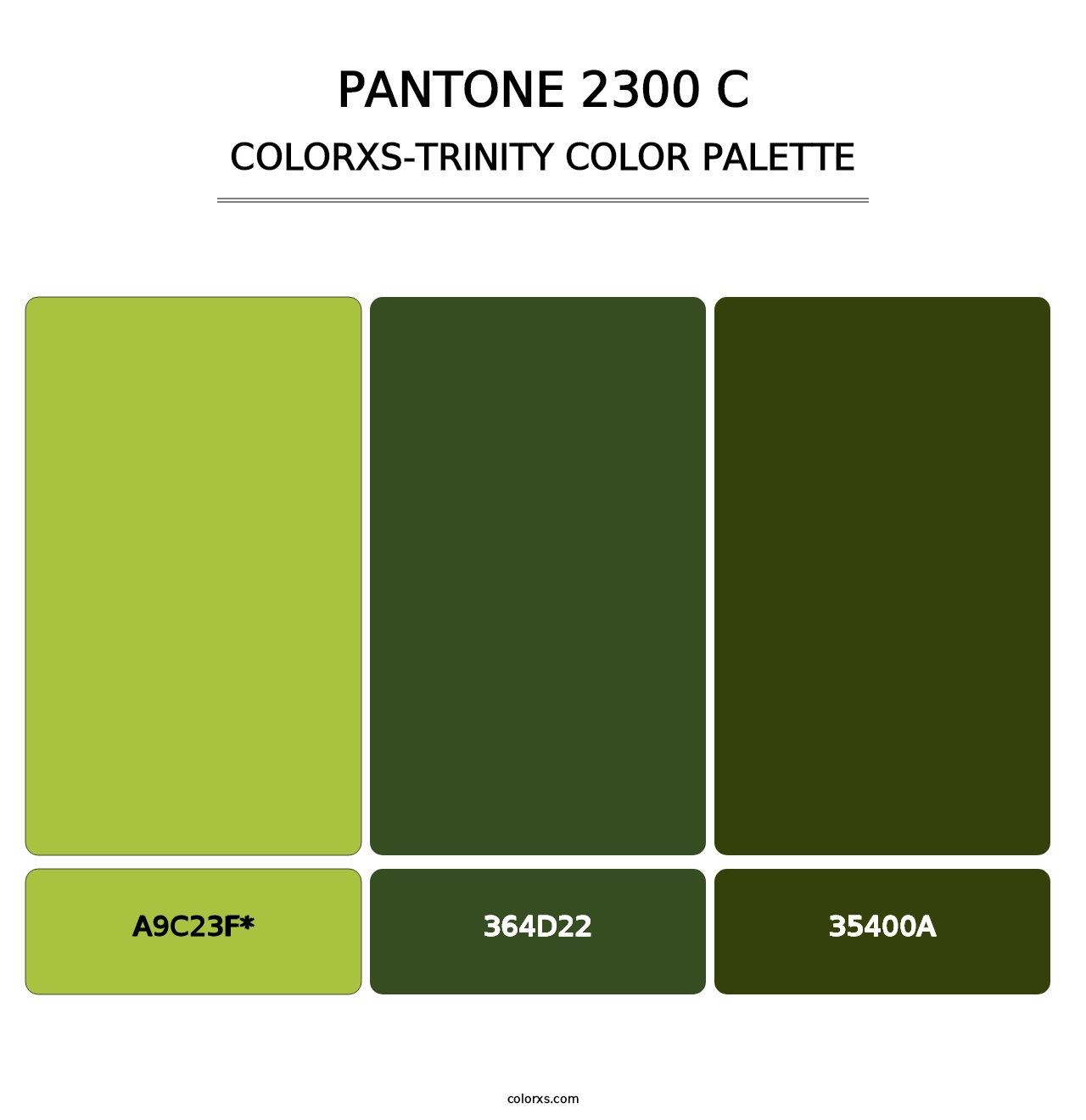 PANTONE 2300 C - Colorxs Trinity Palette