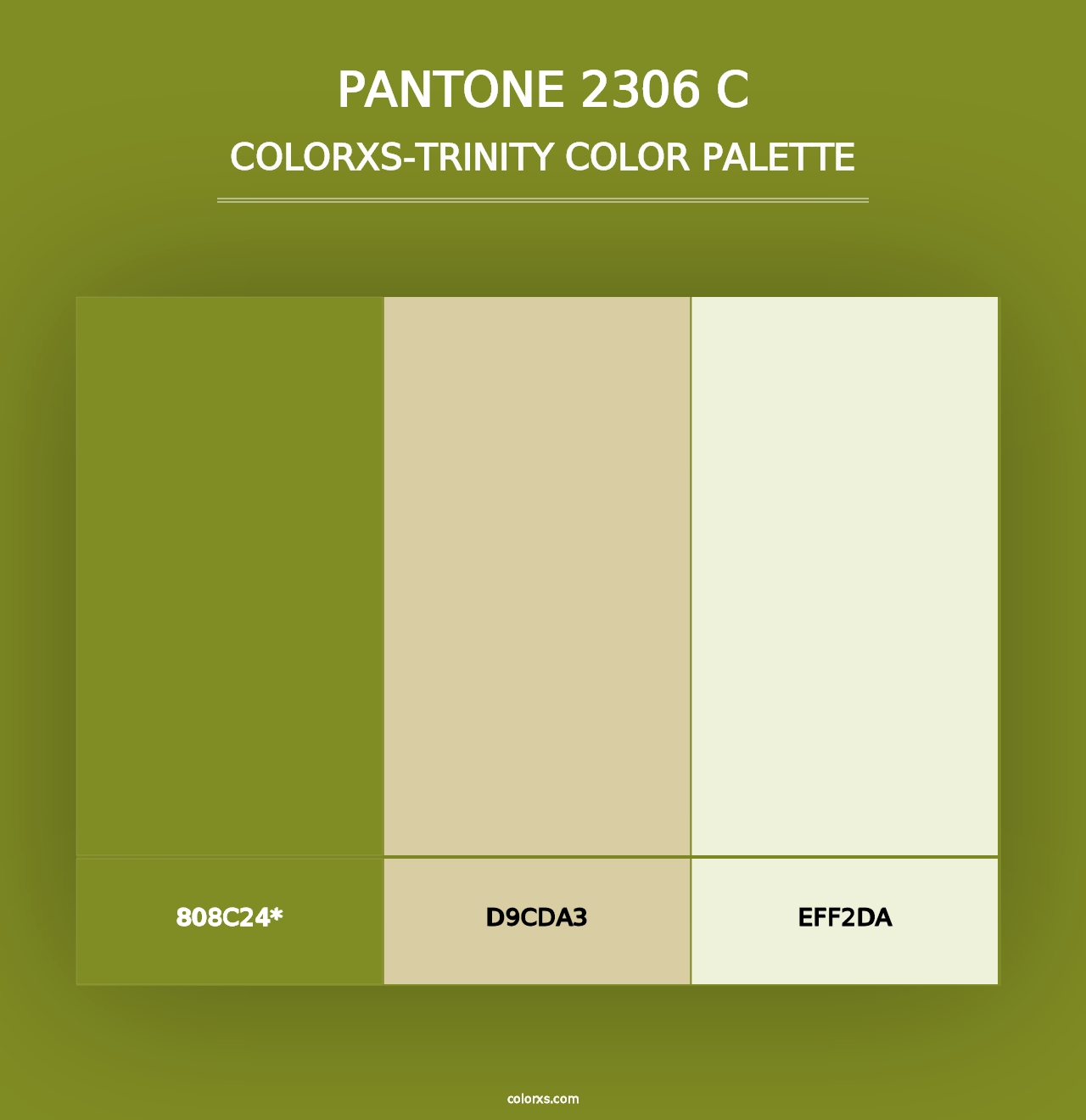 PANTONE 2306 C - Colorxs Trinity Palette