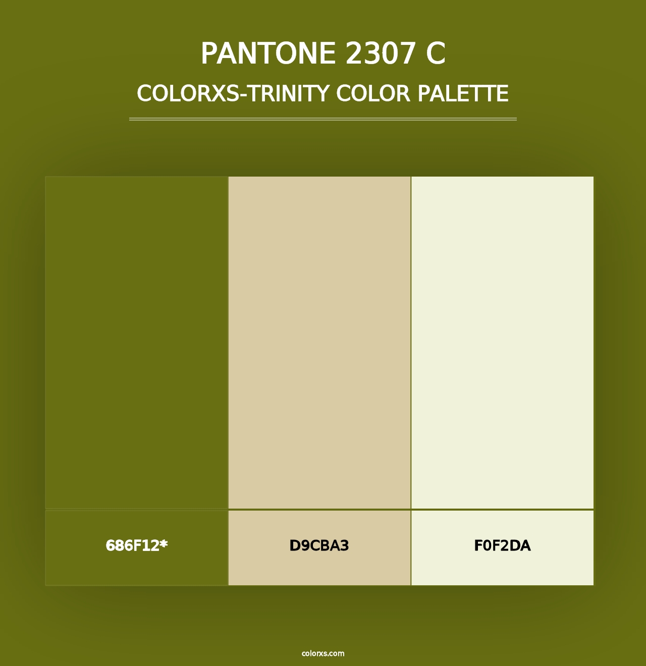 PANTONE 2307 C - Colorxs Trinity Palette