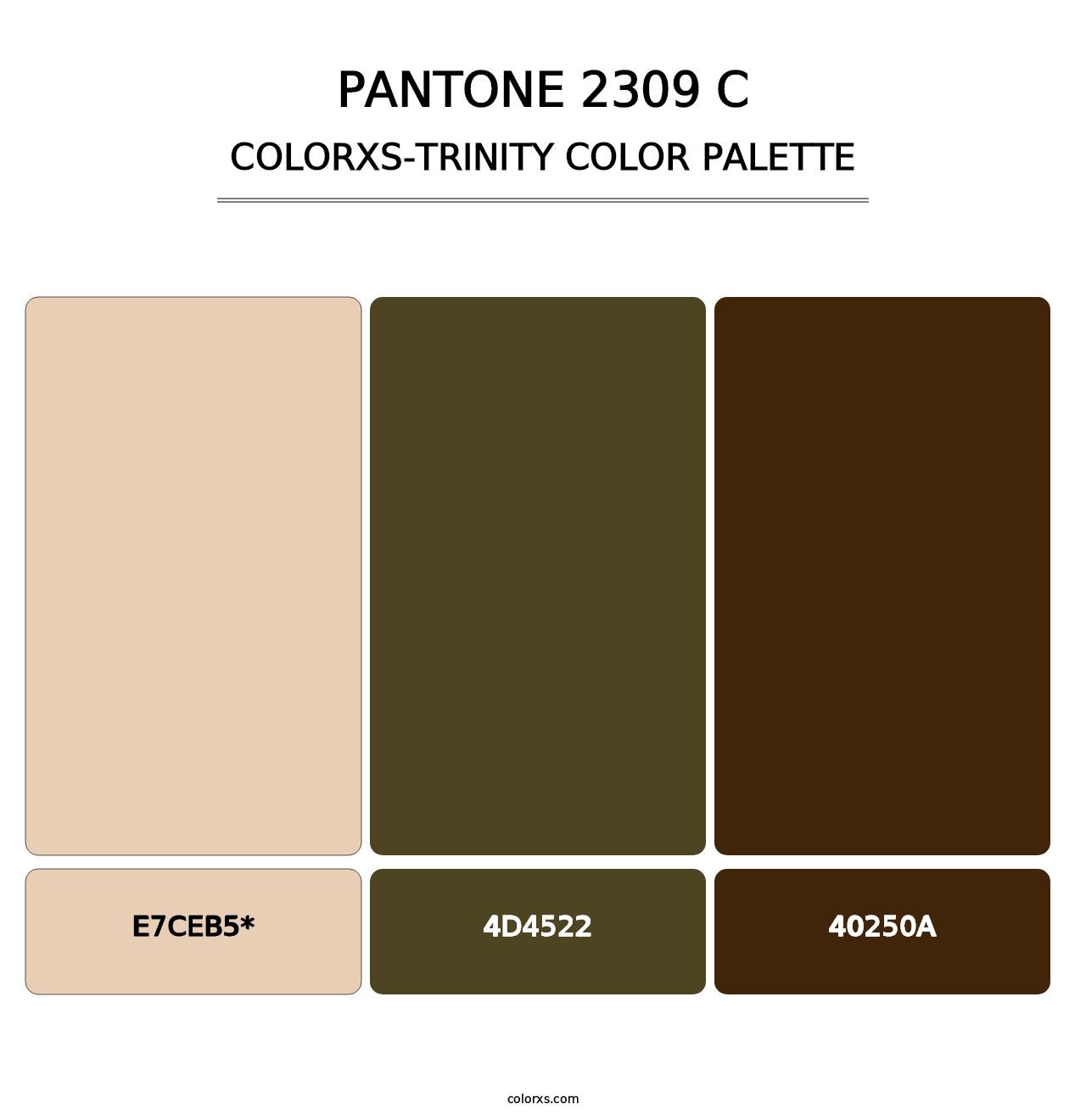 PANTONE 2309 C - Colorxs Trinity Palette