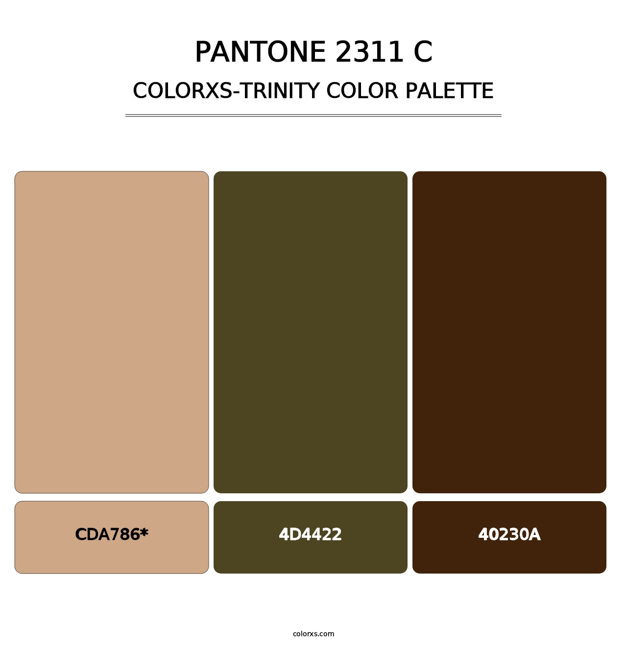 PANTONE 2311 C - Colorxs Trinity Palette