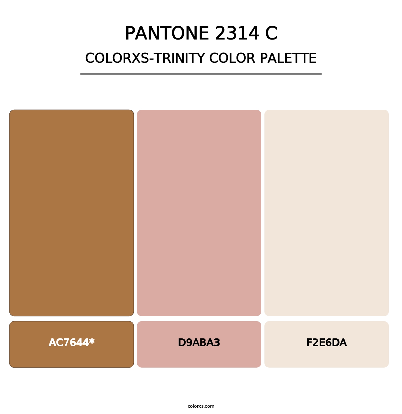 PANTONE 2314 C - Colorxs Trinity Palette