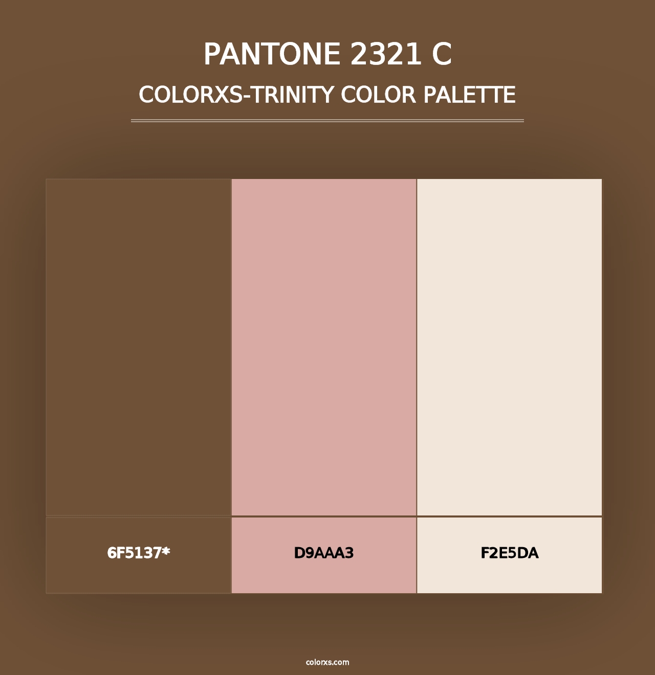 PANTONE 2321 C - Colorxs Trinity Palette