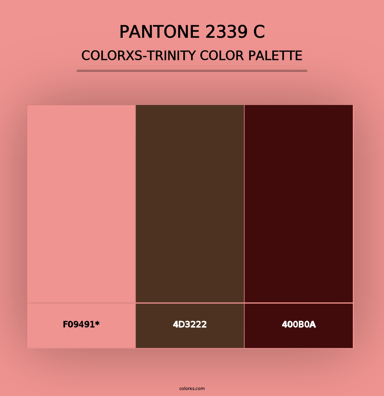 PANTONE 2339 C - Colorxs Trinity Palette