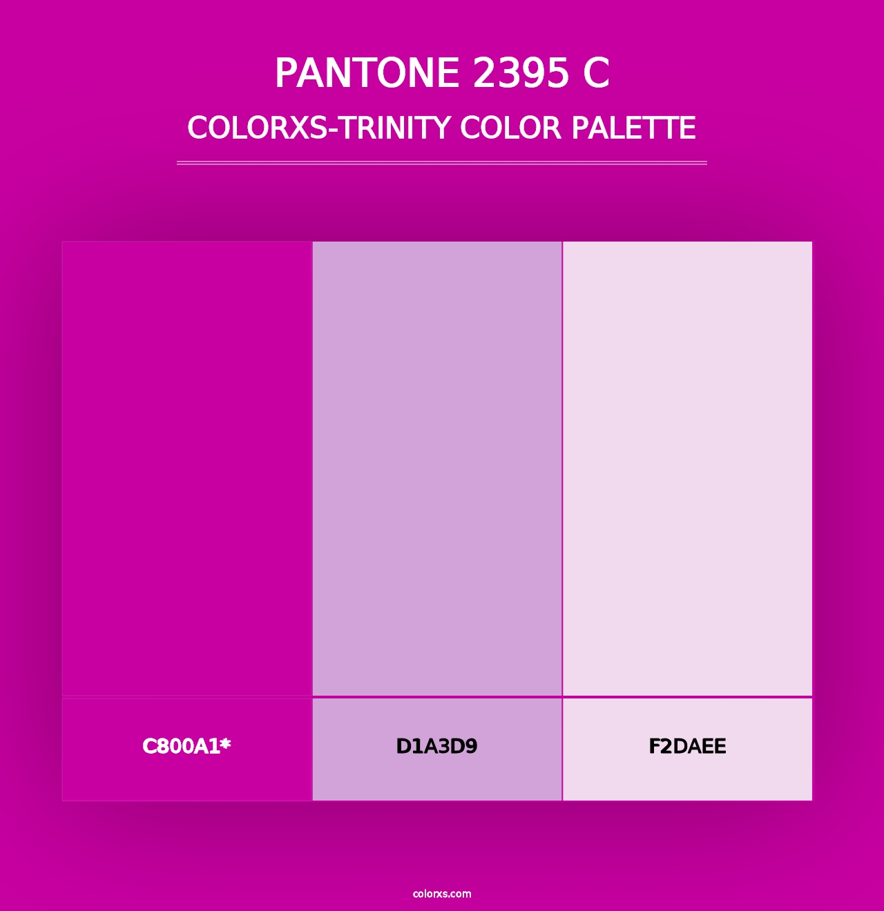 PANTONE 2395 C - Colorxs Trinity Palette