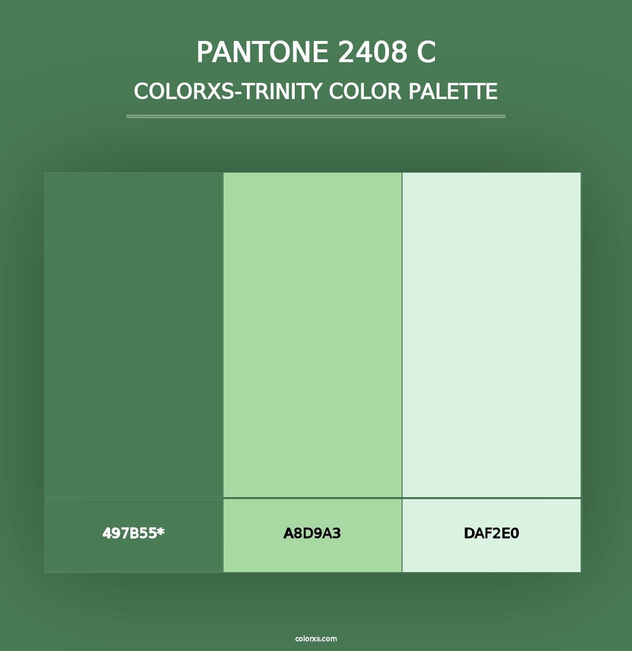 PANTONE 2408 C - Colorxs Trinity Palette