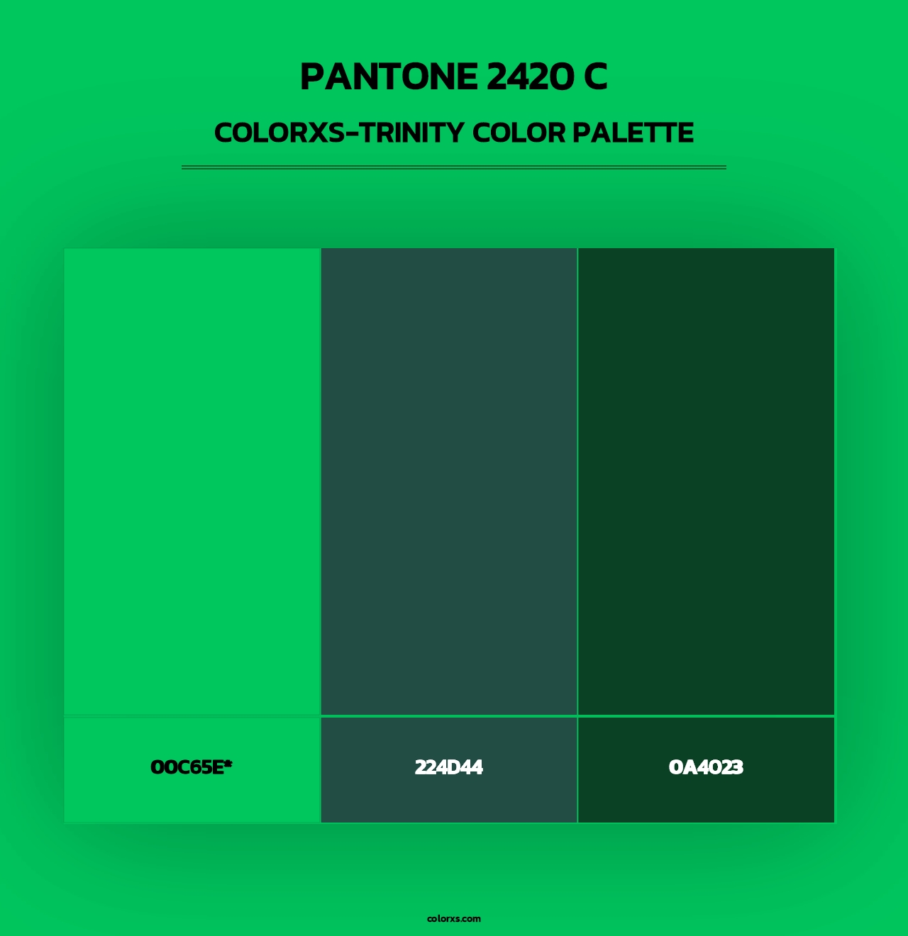 PANTONE 2420 C - Colorxs Trinity Palette