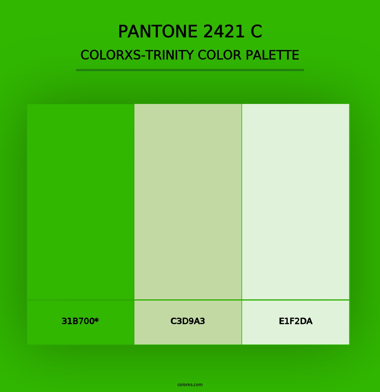 PANTONE 2421 C - Colorxs Trinity Palette