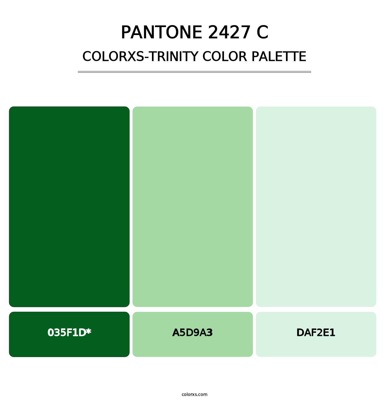 PANTONE 2427 C - Colorxs Trinity Palette