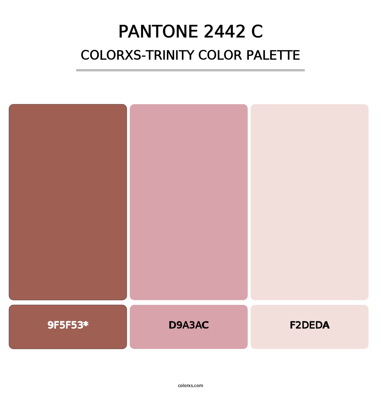 PANTONE 2442 C - Colorxs Trinity Palette