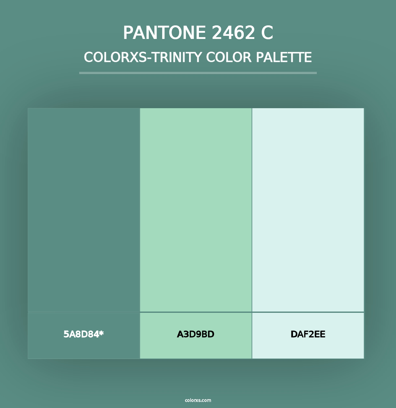 PANTONE 2462 C - Colorxs Trinity Palette