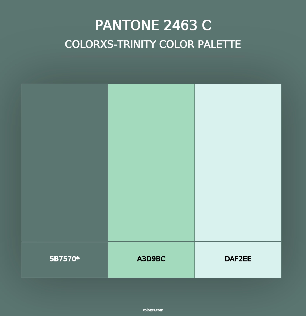 PANTONE 2463 C - Colorxs Trinity Palette