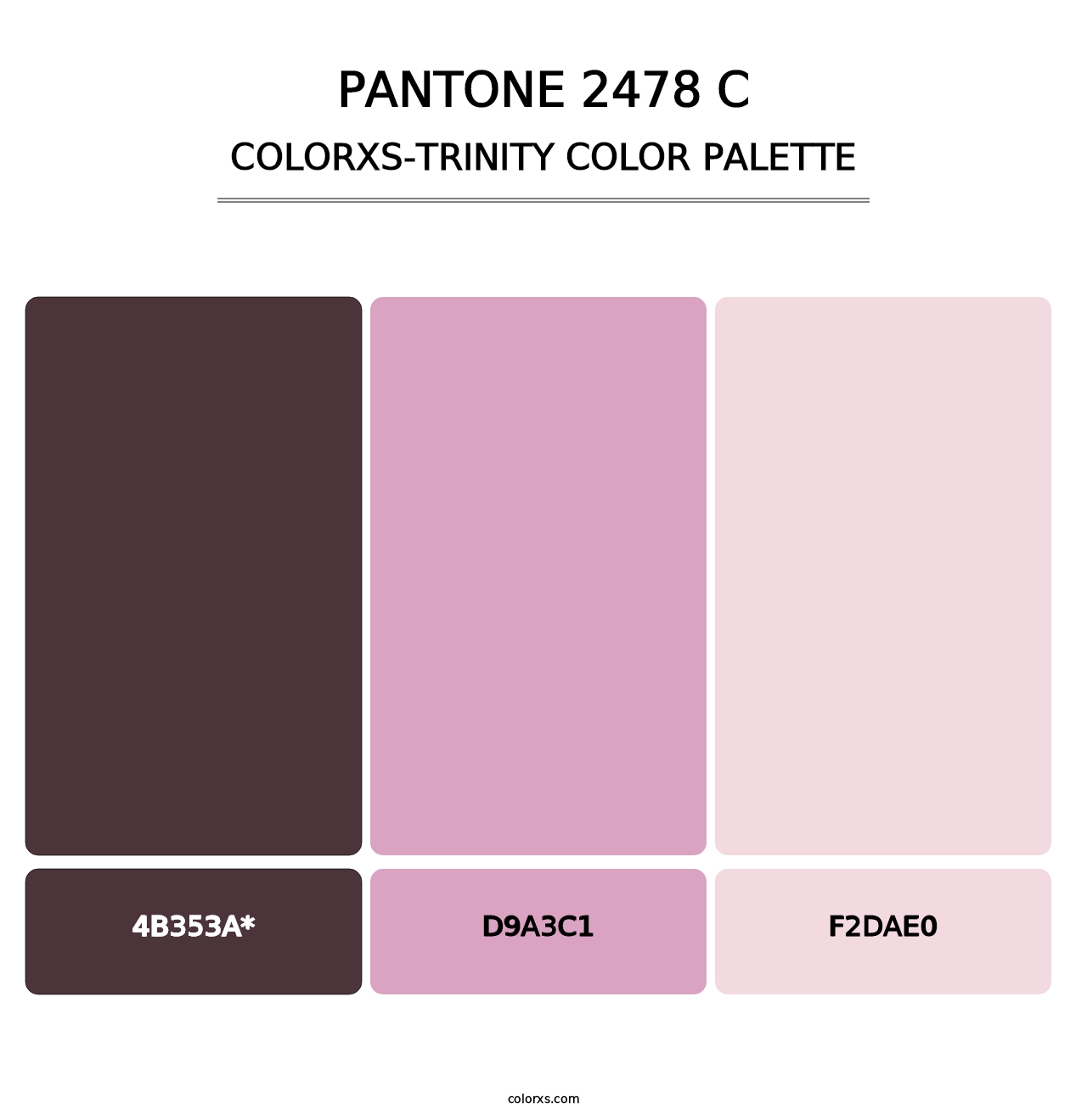 PANTONE 2478 C - Colorxs Trinity Palette