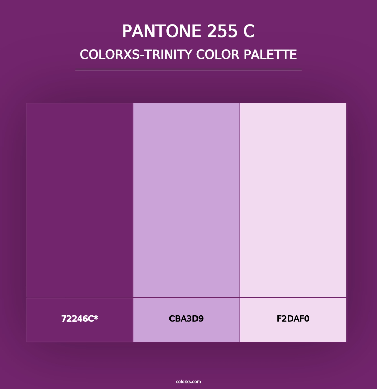 PANTONE 255 C - Colorxs Trinity Palette