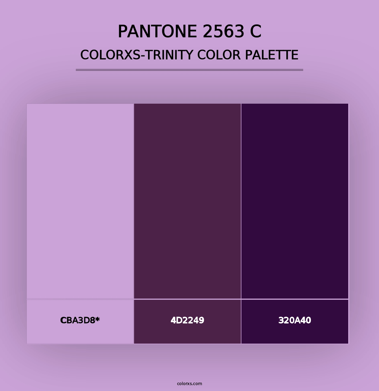 PANTONE 2563 C - Colorxs Trinity Palette