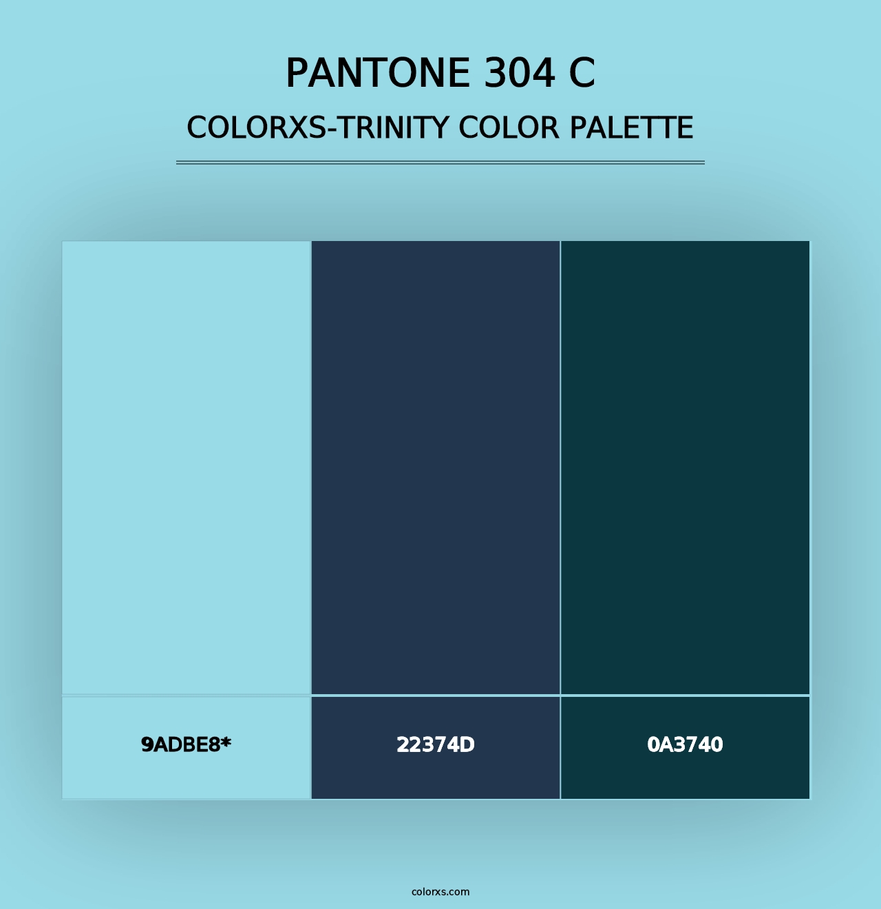 PANTONE 304 C - Colorxs Trinity Palette