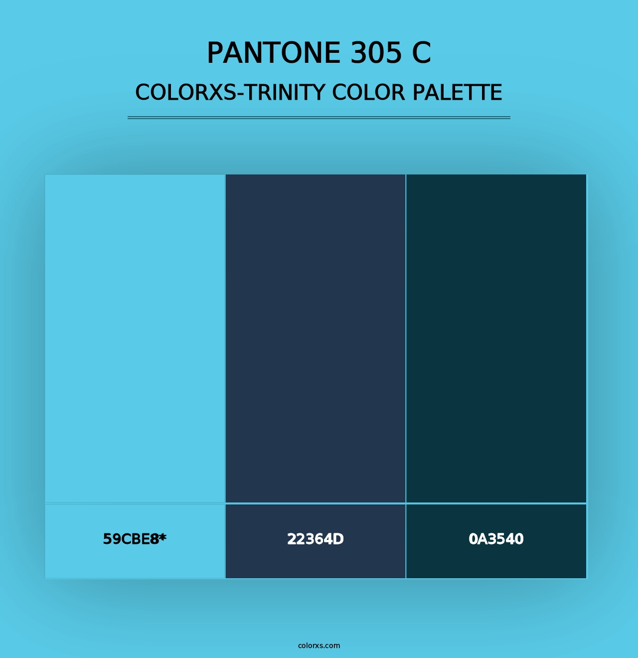 PANTONE 305 C - Colorxs Trinity Palette