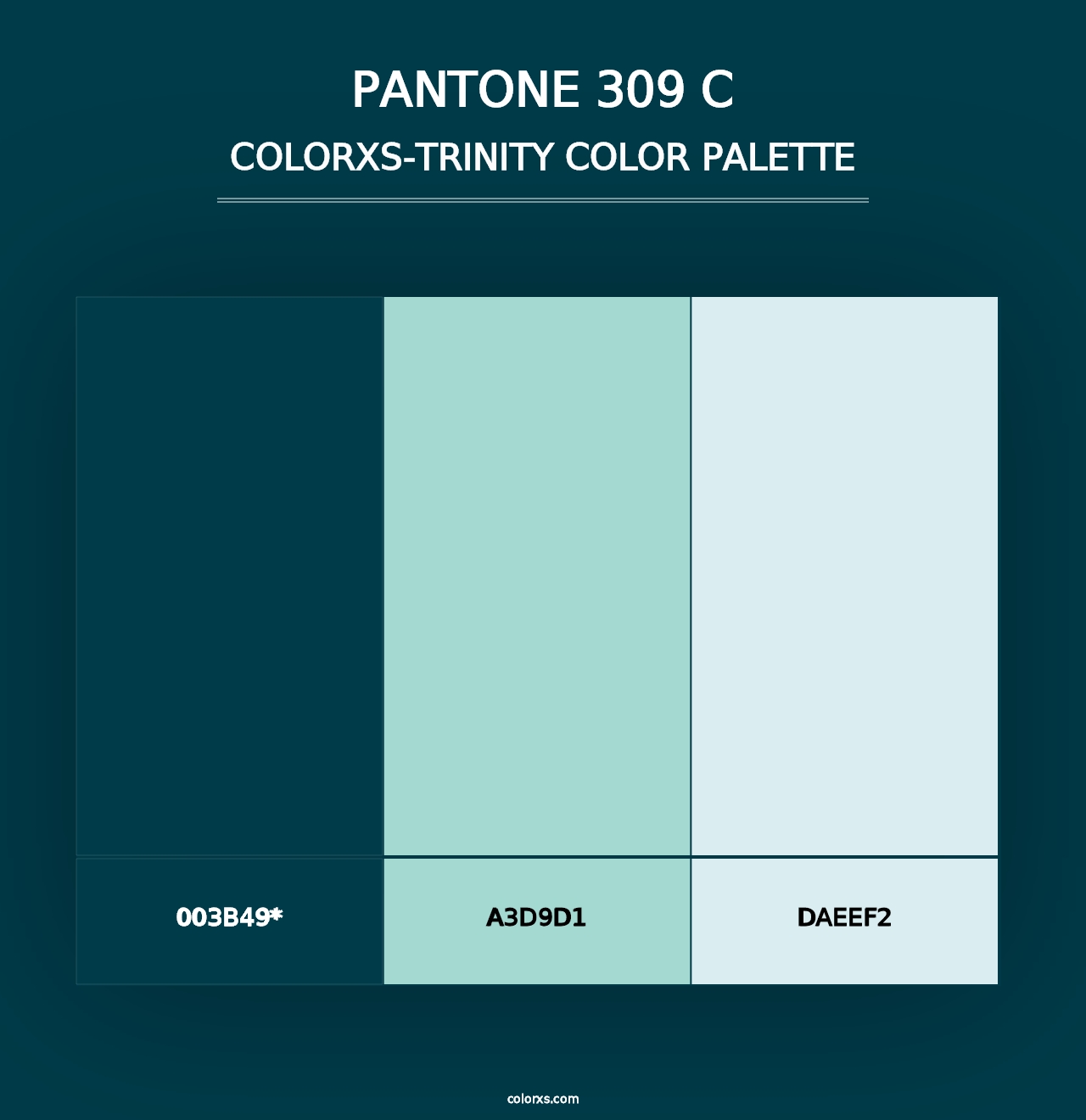 PANTONE 309 C - Colorxs Trinity Palette