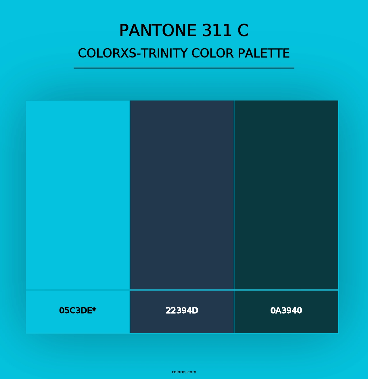 PANTONE 311 C - Colorxs Trinity Palette