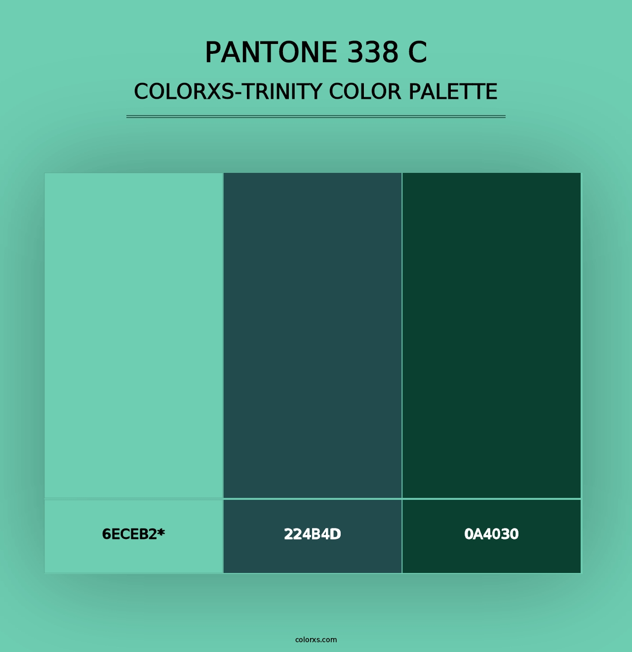 PANTONE 338 C - Colorxs Trinity Palette