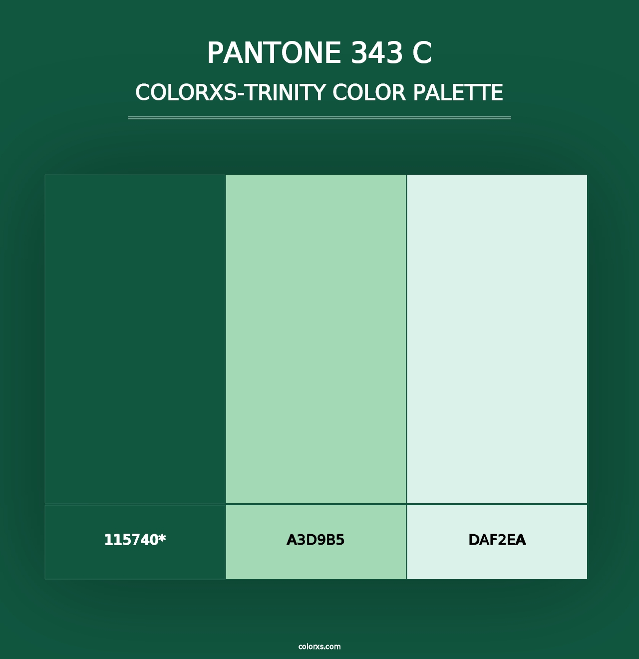 PANTONE 343 C - Colorxs Trinity Palette