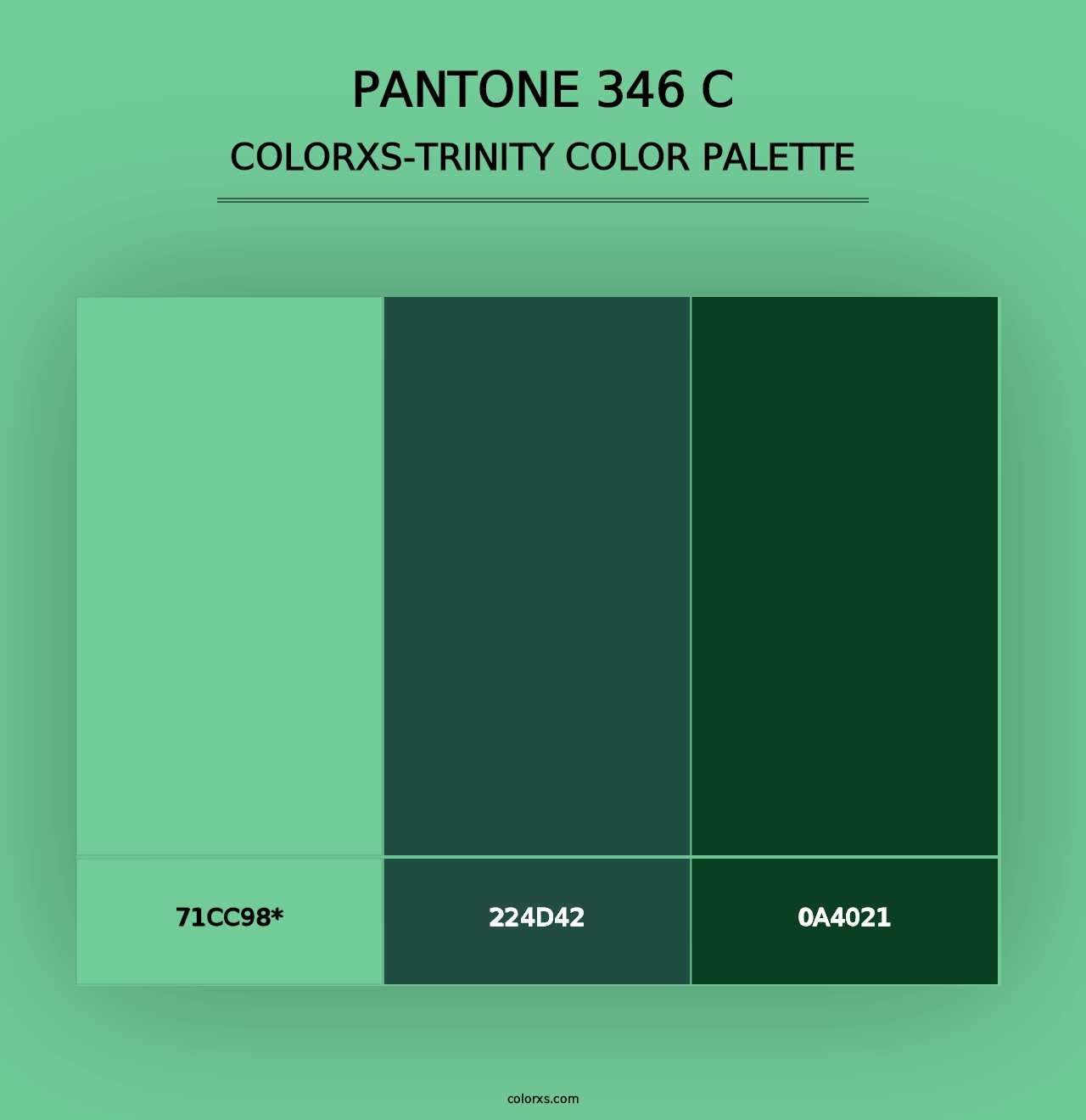 PANTONE 346 C - Colorxs Trinity Palette