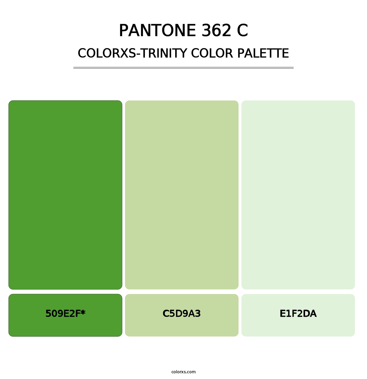 PANTONE 362 C - Colorxs Trinity Palette