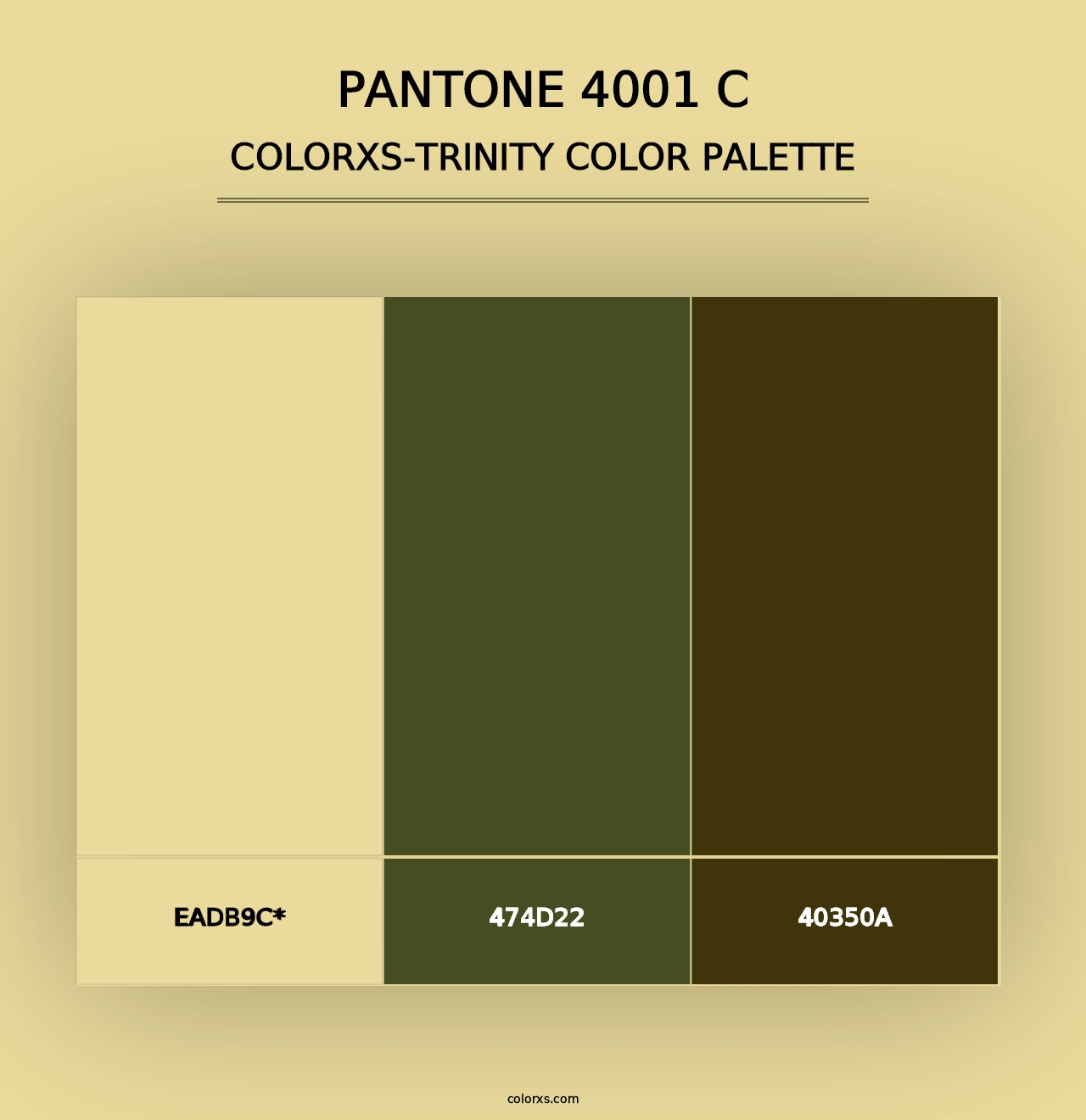 PANTONE 4001 C - Colorxs Trinity Palette