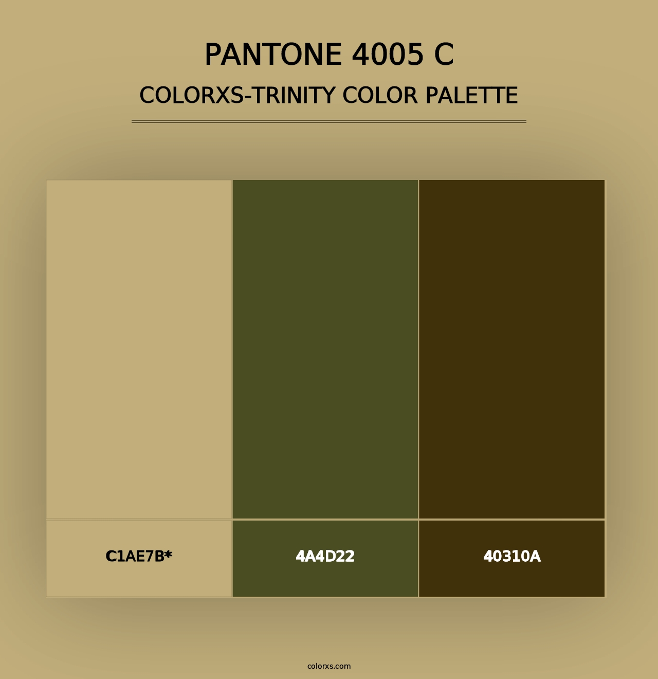 PANTONE 4005 C - Colorxs Trinity Palette