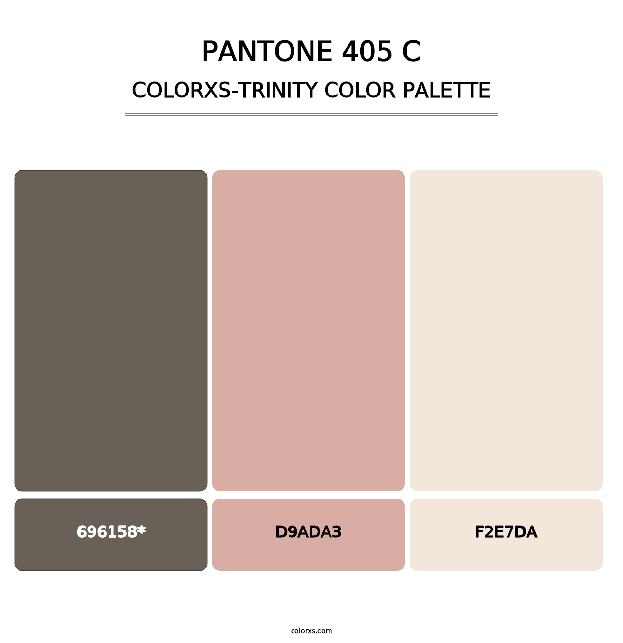 PANTONE 405 C - Colorxs Trinity Palette