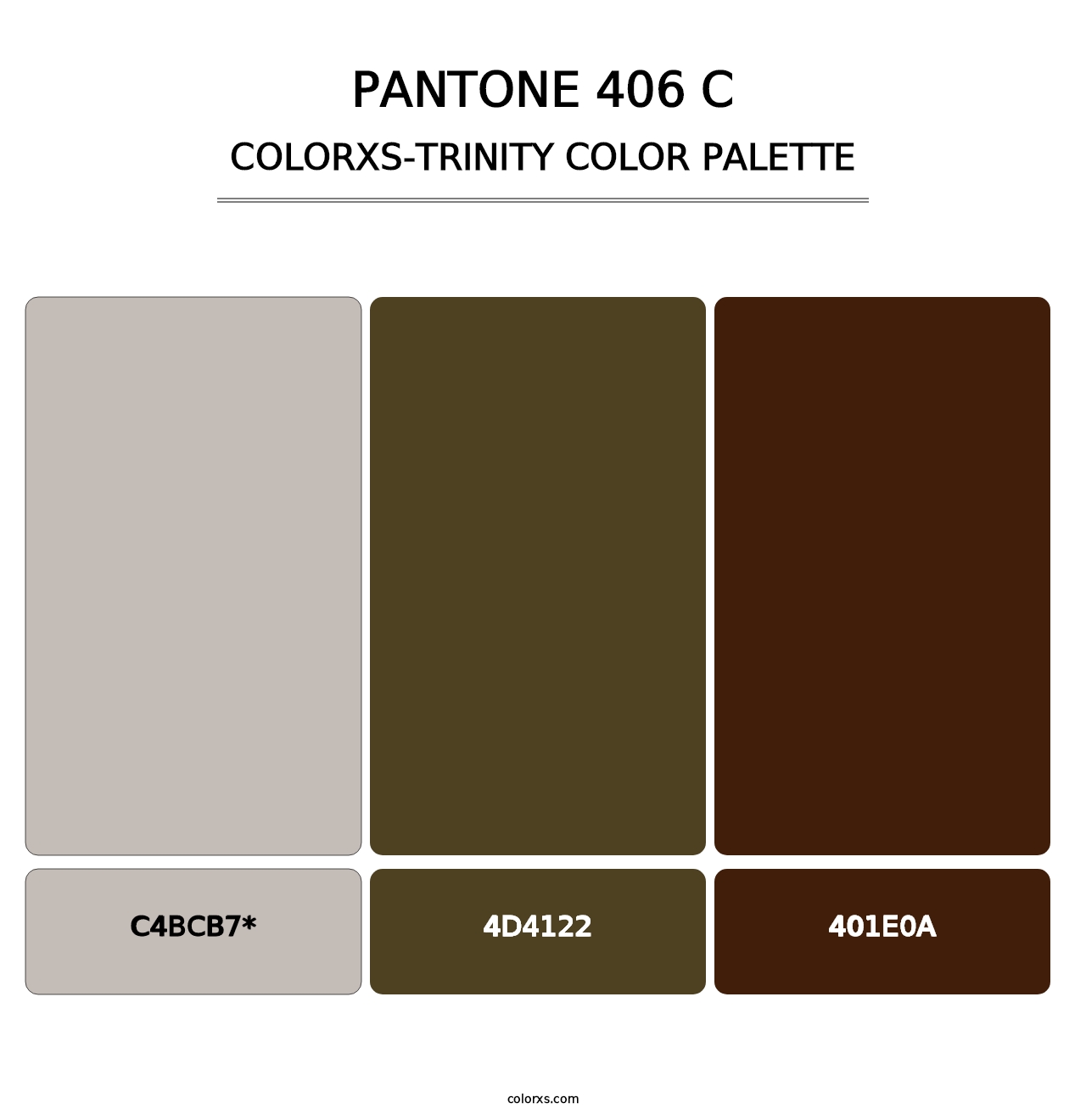 PANTONE 406 C - Colorxs Trinity Palette