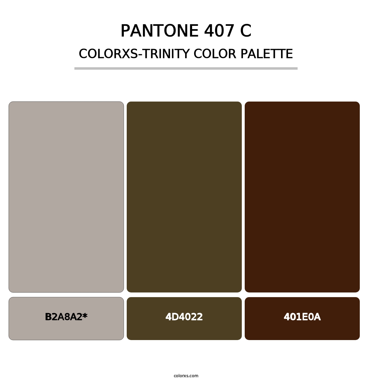 PANTONE 407 C - Colorxs Trinity Palette