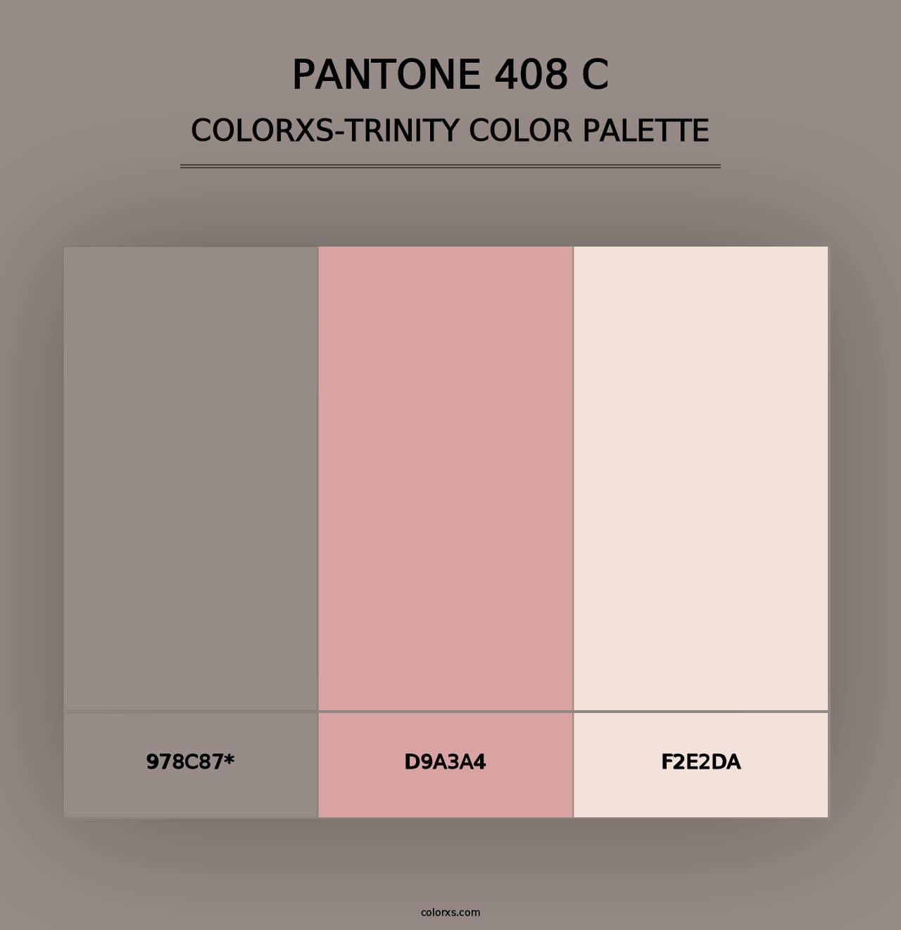 PANTONE 408 C - Colorxs Trinity Palette