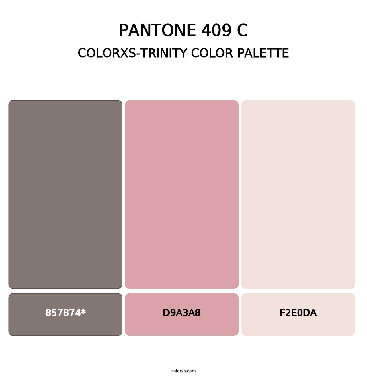 PANTONE 409 C - Colorxs Trinity Palette