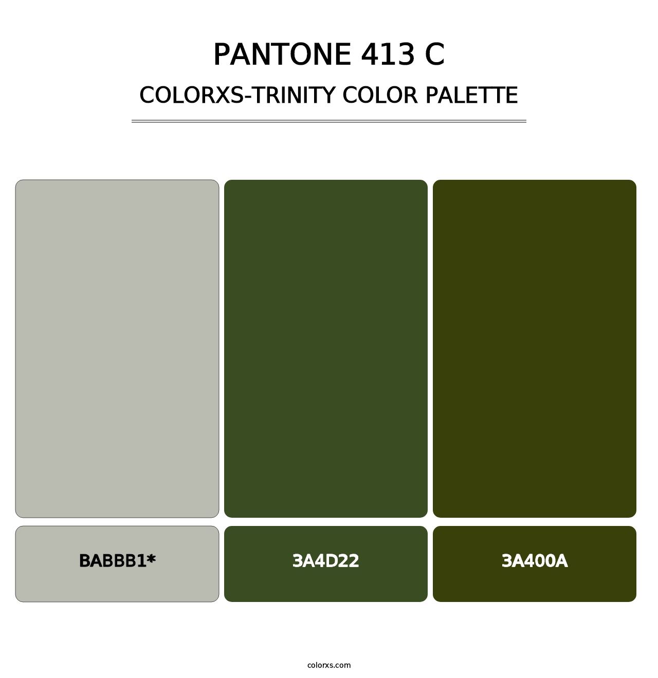 PANTONE 413 C - Colorxs Trinity Palette