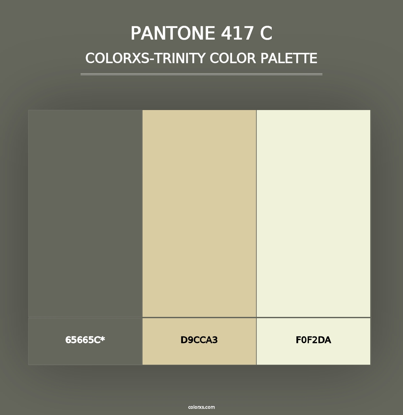 PANTONE 417 C - Colorxs Trinity Palette