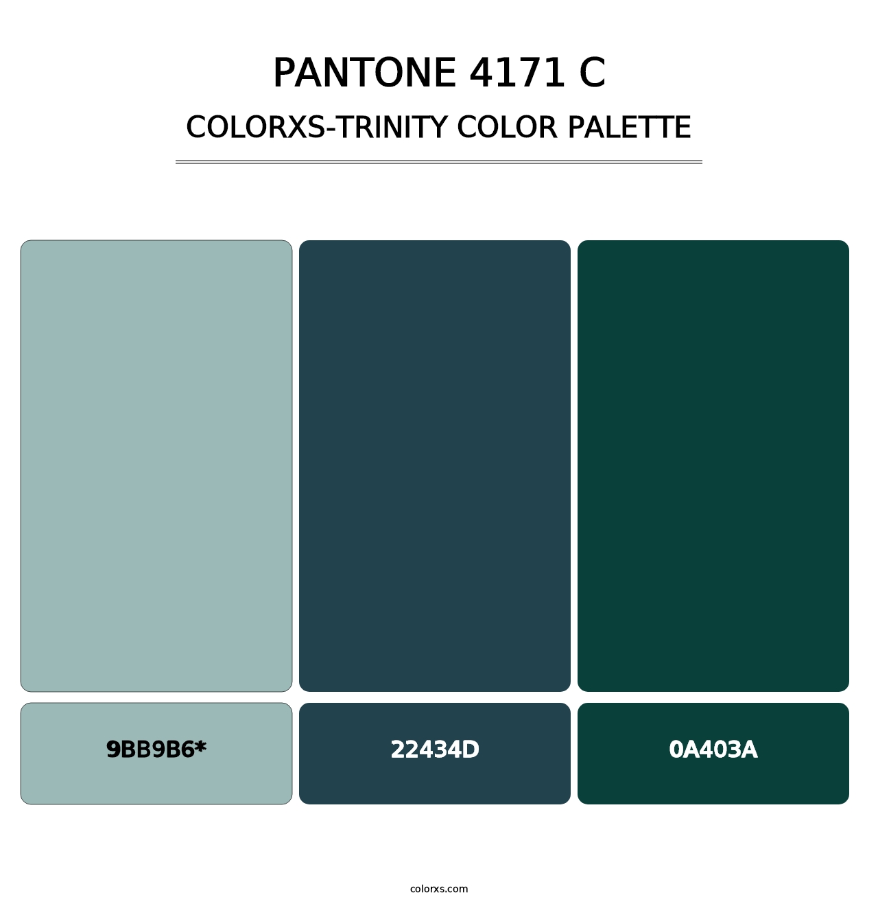 PANTONE 4171 C - Colorxs Trinity Palette