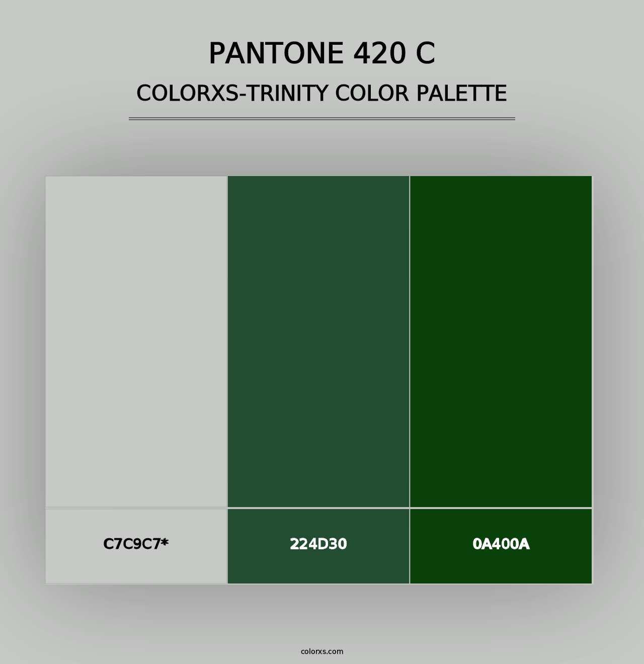 PANTONE 420 C - Colorxs Trinity Palette