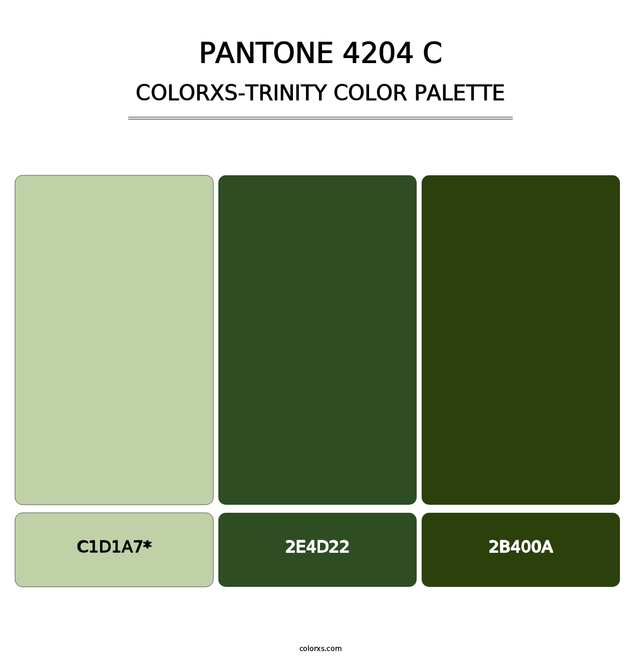 PANTONE 4204 C - Colorxs Trinity Palette