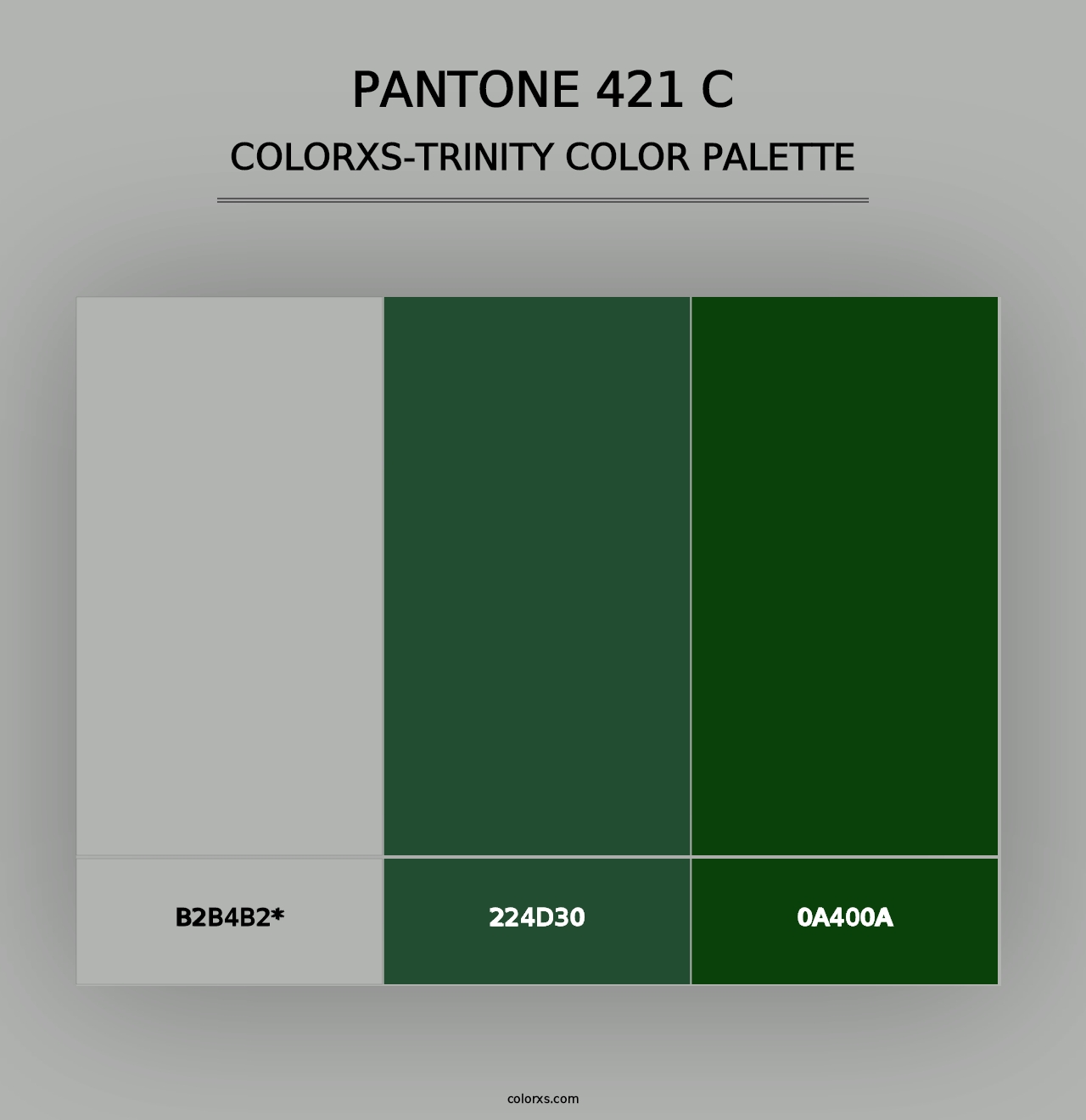 PANTONE 421 C - Colorxs Trinity Palette