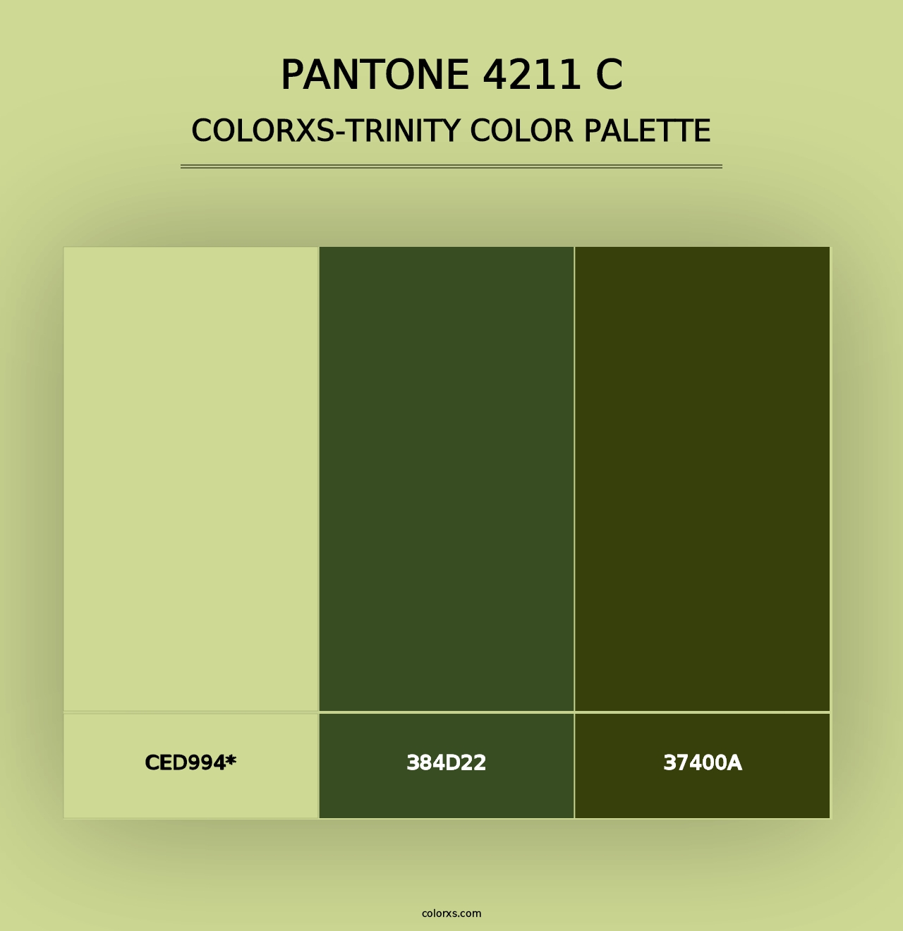 PANTONE 4211 C - Colorxs Trinity Palette