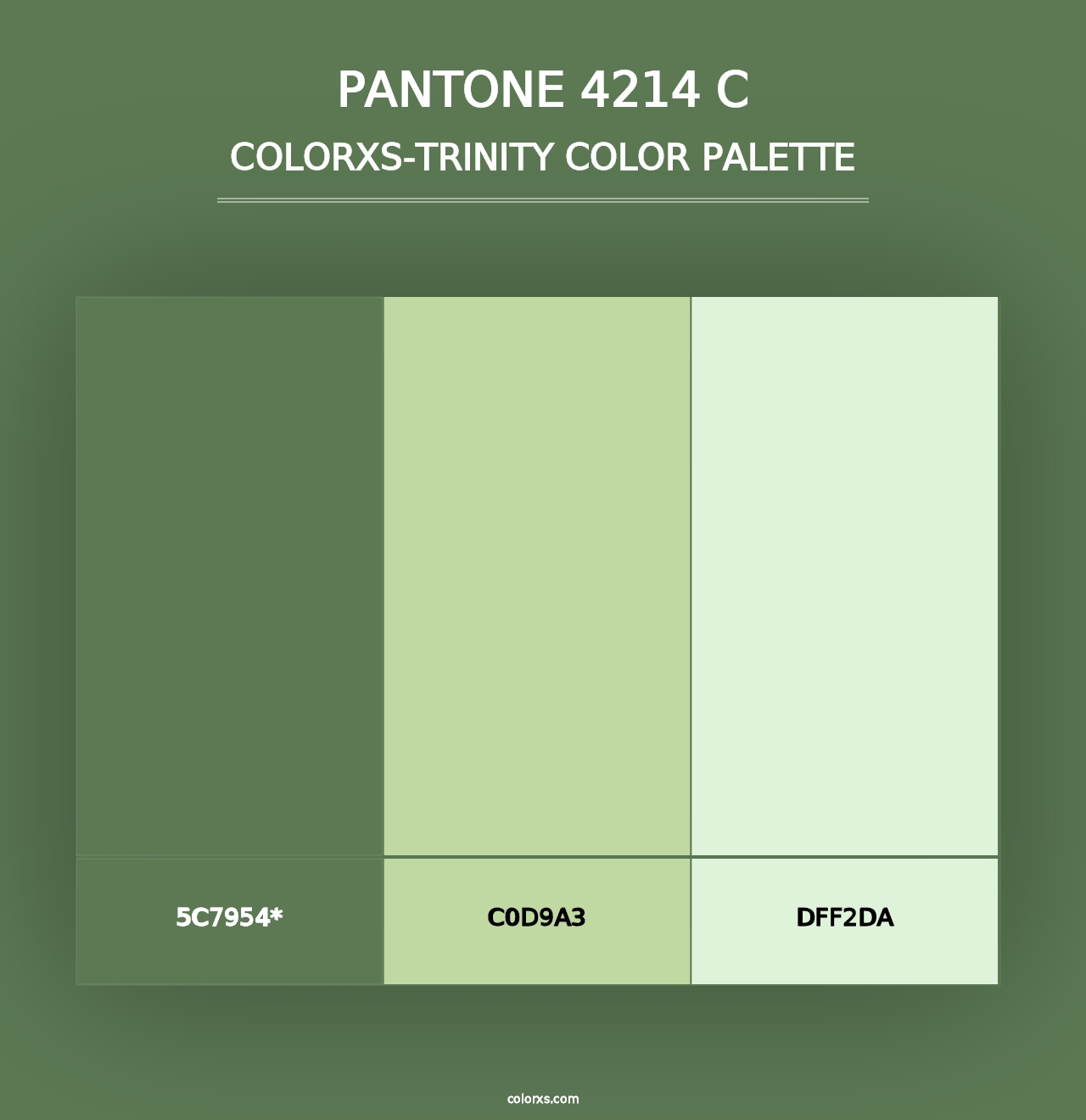 PANTONE 4214 C - Colorxs Trinity Palette