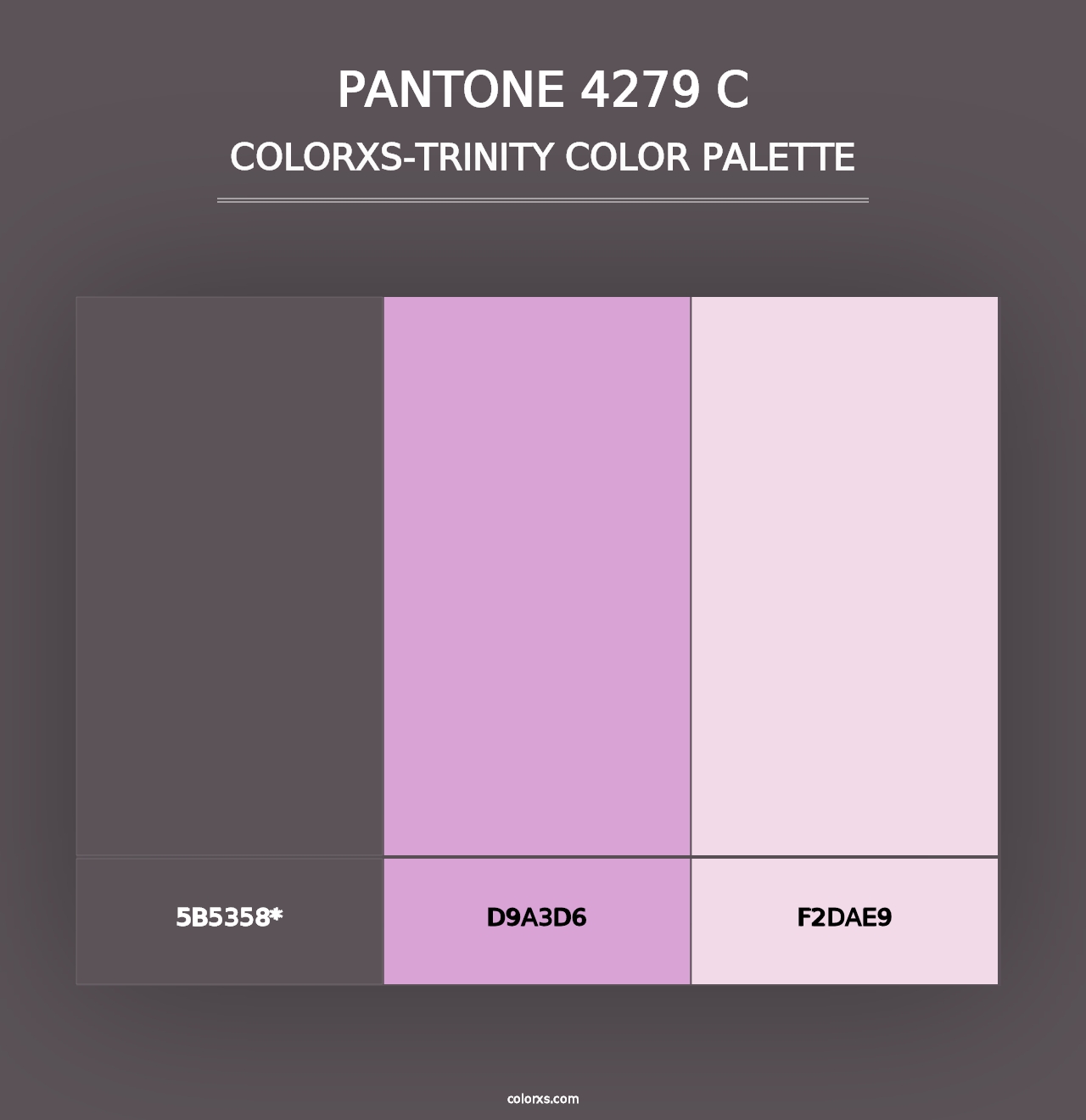 PANTONE 4279 C - Colorxs Trinity Palette