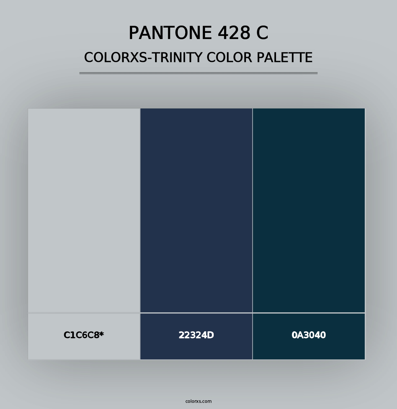 PANTONE 428 C - Colorxs Trinity Palette