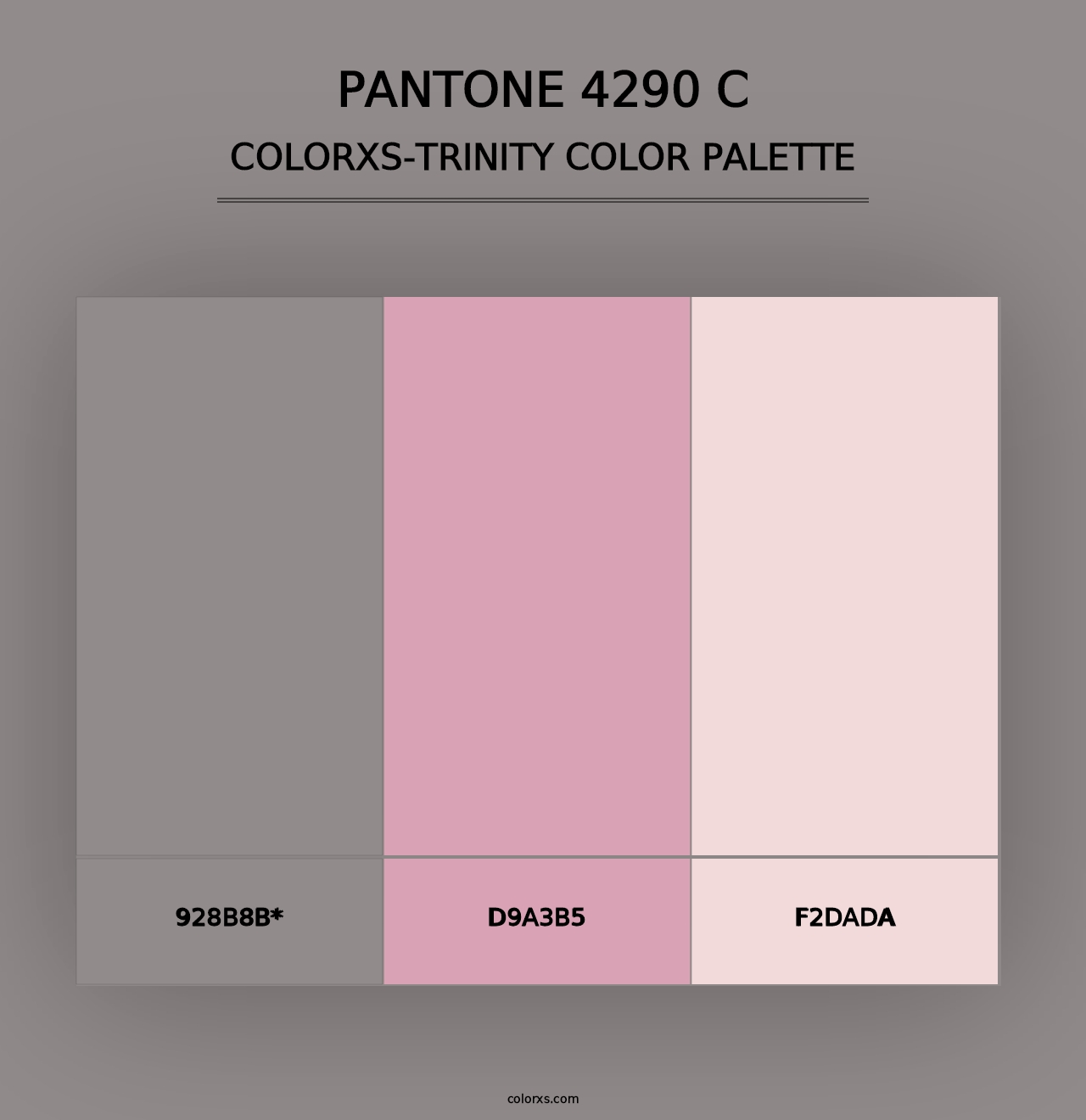 PANTONE 4290 C - Colorxs Trinity Palette